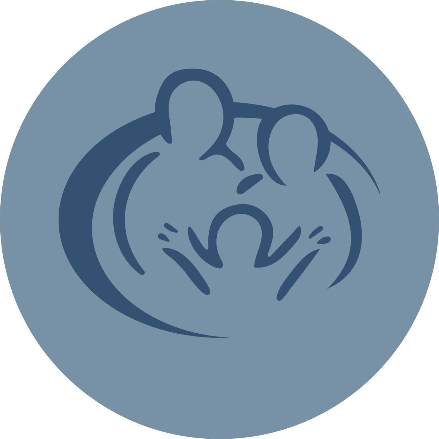Chicago Bears vs Tampa Bay Buccaneers Ticket Raffle - logo